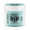 Artistic Perfect DIP Anything is Popsicle 23gr